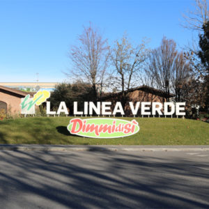 La Linea Verde DimmidiSì